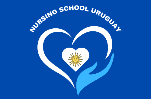 nursingschooluruguay.com